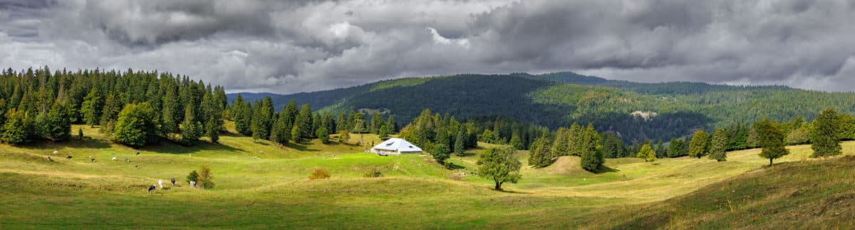 Alpage de la Pillarde, réserve de la haute chaine du jura dans le périmètre du plan pastoral territorial des Crêts du Hauts-Jura