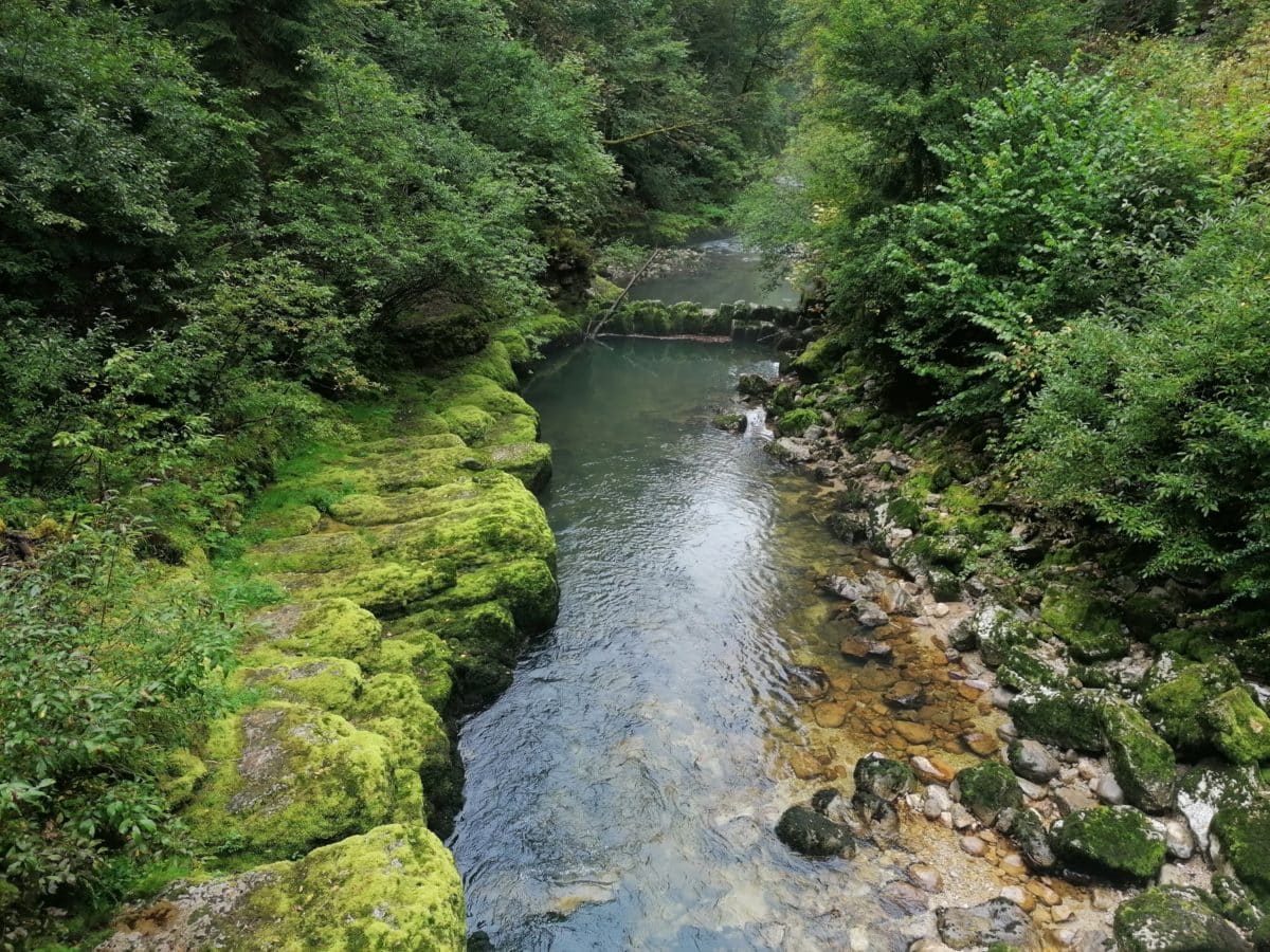 La Bienne Haute Vallée de l'Ain