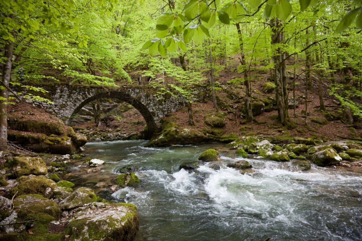 Pont du Rouffy et Valserine - Lélex ©PNRHJ/JB.STROBEL