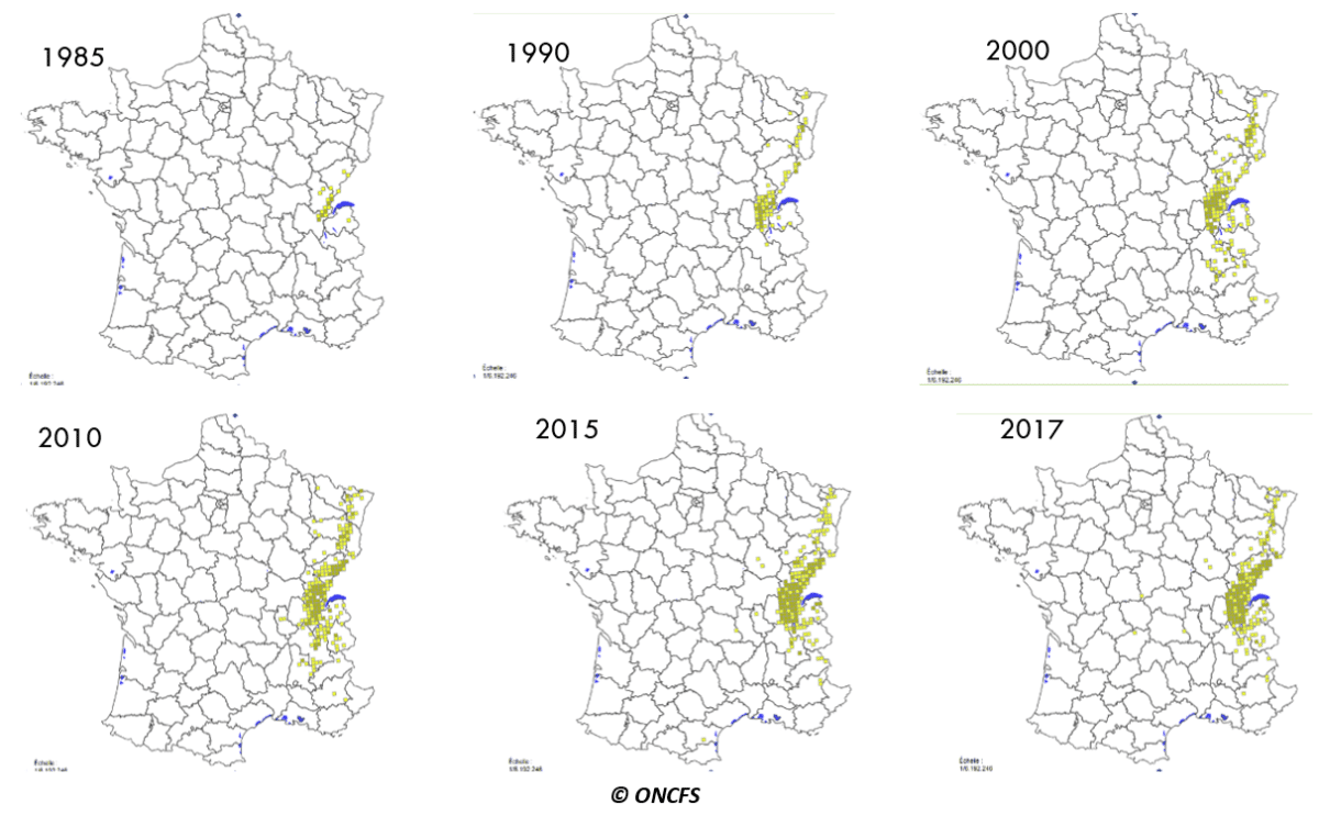 Evolution de l’aire de répartition des grands prédateurs en France : lynx  en entre 1985 et 2017