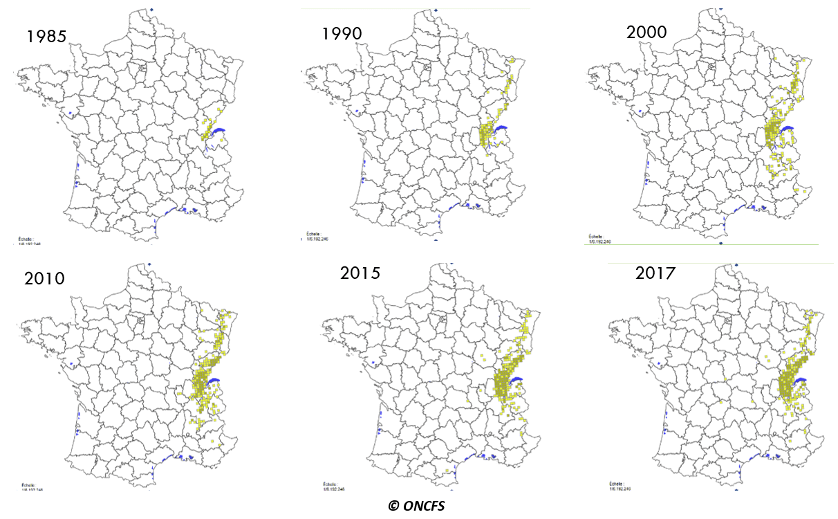 Grands Pr dateurs Parc Naturel R gional Du Haut Jura grands-pr-dateurs-parc-naturel-r-gional-du-haut-jura