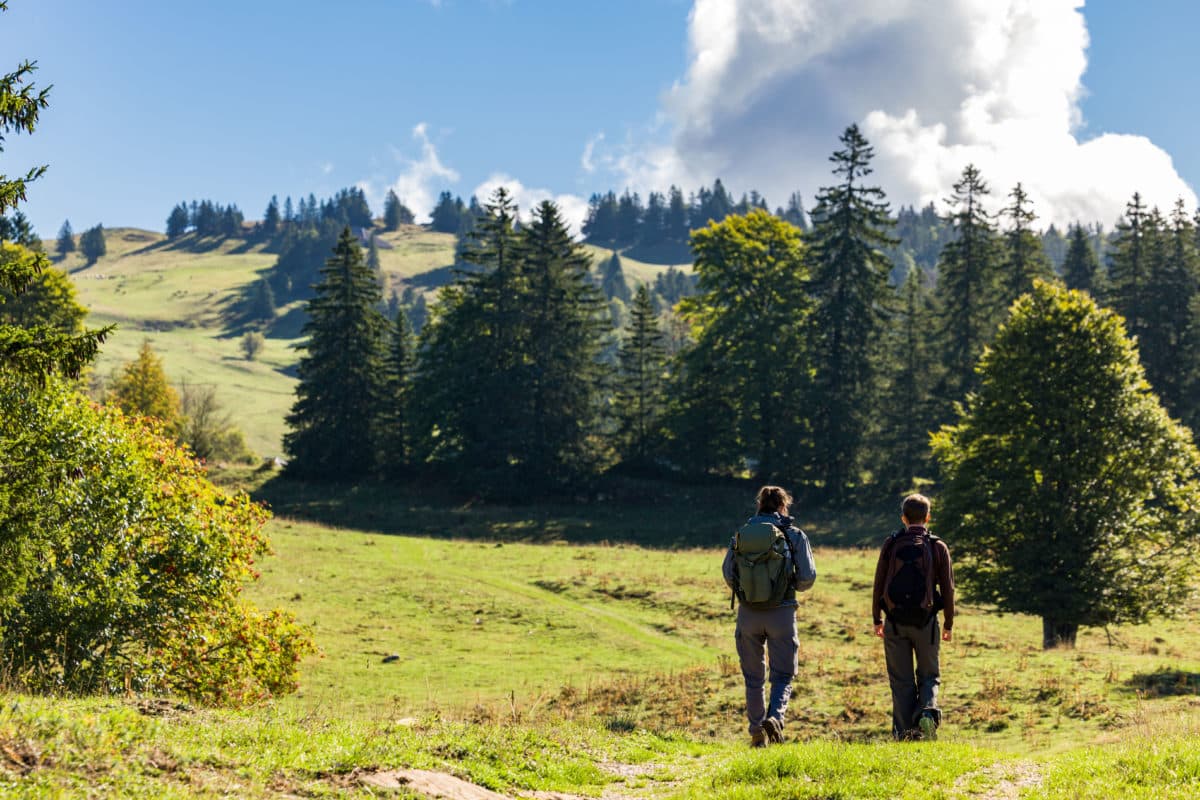 Randonneur sur chemin d'Alpage dans le périmètre du plan pastoral territorial des Crêts du Hauts-Jura