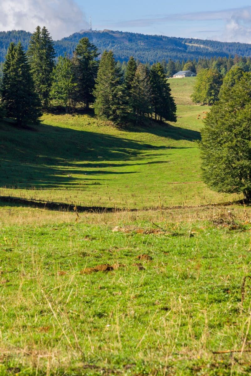 Milieux naturels de type alpage du Haut-Jura